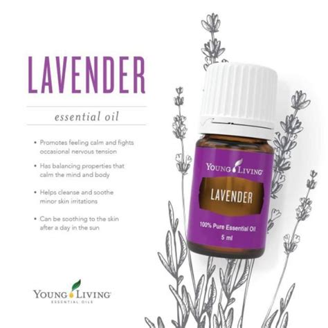 Lavender Essential Oil 5ml And 15ml Sealed Shopee Philippines