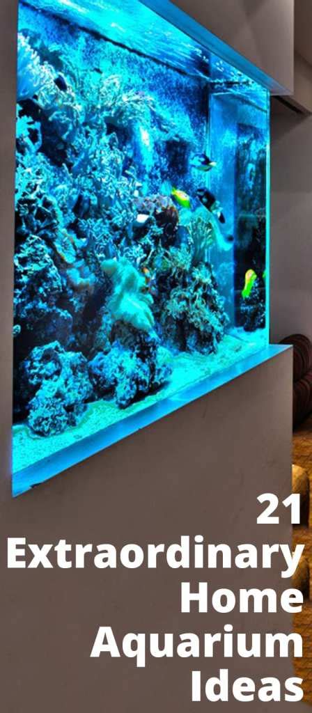 21 Stunning Home Aquarium Ideas