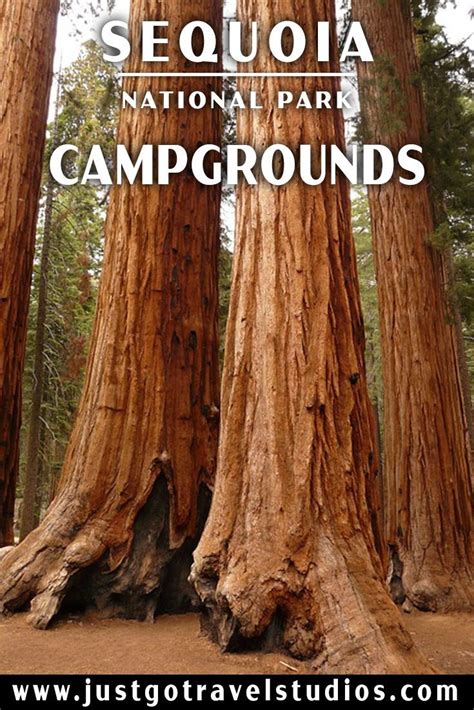 111 sequoia national park california rv parks & campgrounds. Best Campgrounds in Sequoia National Park | Sequoia ...