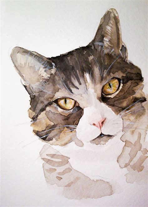Watercolor Cats On Behance Watercolor Cat Cat Portraits Watercolor