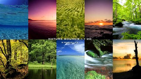 Nature Sound Collection 11 20 Super Long Nature Sound 8hour Youtube