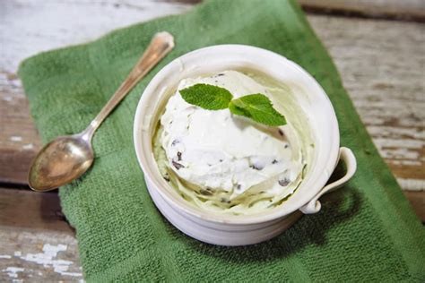 Vegan Mint Chocolate Chip Ice Cream Recipe The Edgy Veg