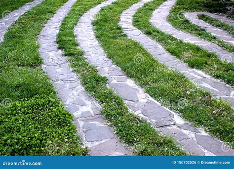 Footpath With Green Grass Landscaping Design Stock Photo Image Of