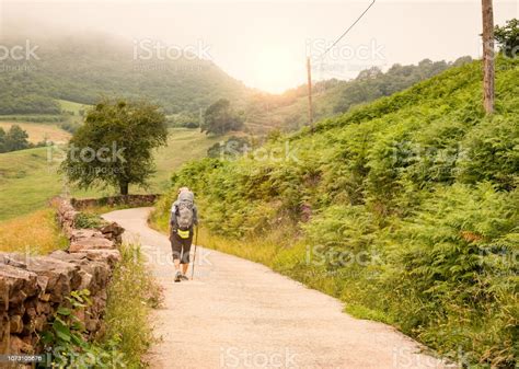 Lonely Pilgrim With Backpack Walking The Camino De Santiago In Spain