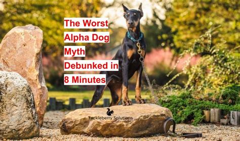 The Worst Alpha Dog Myth Debunked In 8 Minutes