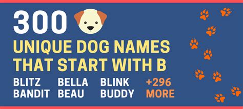 This educational content is not medical or diagnostic advice. 300 Unique Dog Names that Start with B (for Male and ...