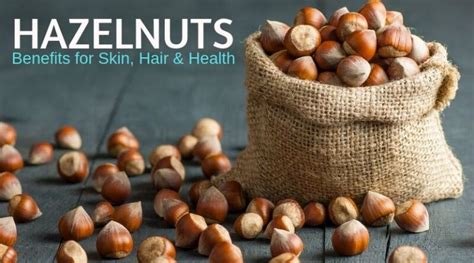 Benefits Of Hazelnuts Skin Hair Health Quillcraze