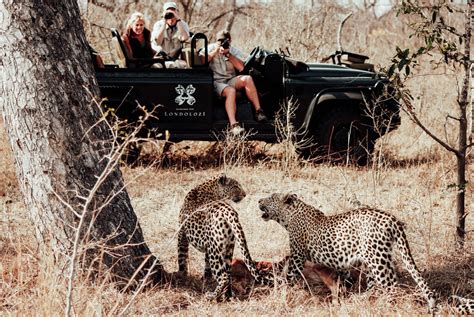 South Africa Safari Kruger National Park Safari Forth And Wonder