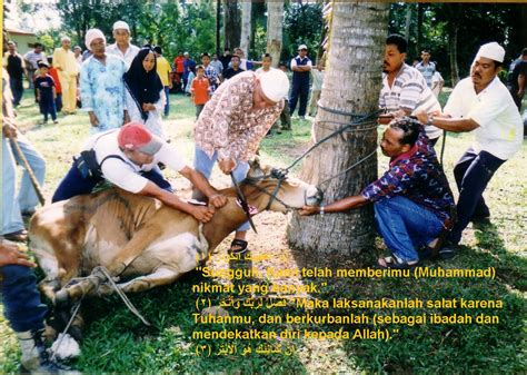 Maybe you would like to learn more about one of these? Manfaat Qurban Pada Hari Raya Idul Adha - Berita Viral ...
