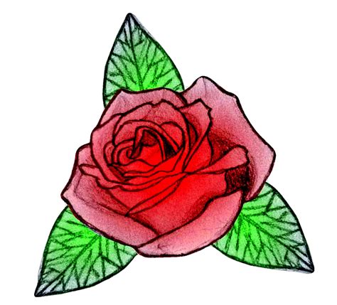 Hand Drawn Rose By Fluffytheartist On Deviantart