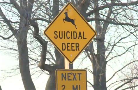 Suicidal Deer Crossing Sign Causes Stir In Iowa