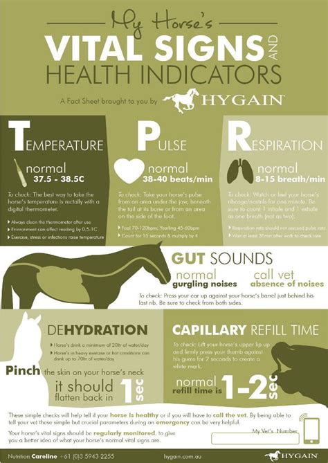 Free Fact Sheet Your Horses Vital Signs And Health Indicators