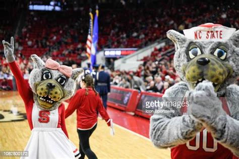 Nc State Wolfpack Mascot Photos And Premium High Res Pictures Getty