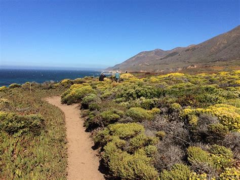 The best glamping southern california or northern california has to offer is found with glamping hub. Doggy road trip: a Northern California coastal experience ...