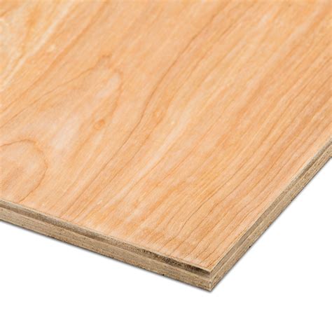 Hardwood Plywood Th12mm W1220mm L2440mm Departments Diy At Bandq