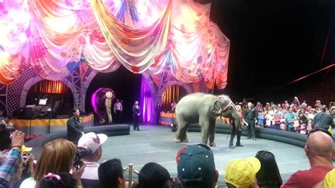 Elephant Giant Beach Ball Play At The Circus Youtube