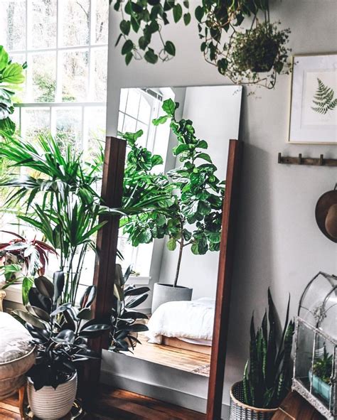 Houseplantsbathroom Large Indoor Plants Indoor Plants