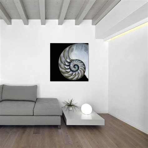 Empire Art Direct 36 In X 36 In Pearly Nautilus Frameless Free