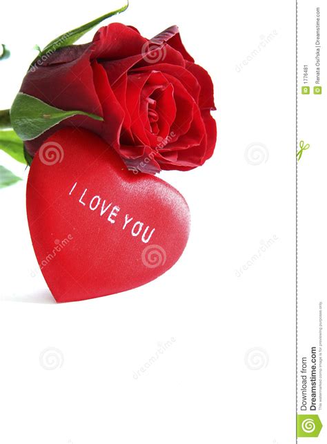 Red Rose And Heart Stock Image Image Of Petal Petals
