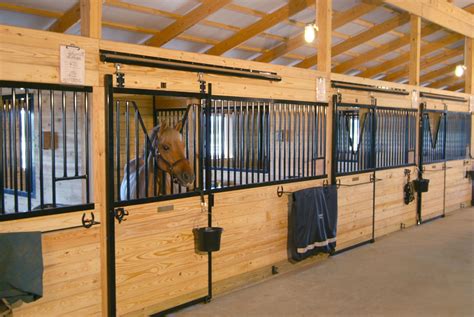 Horse Boarding And Services Clarence Ny Brookfield Farms Equestrian