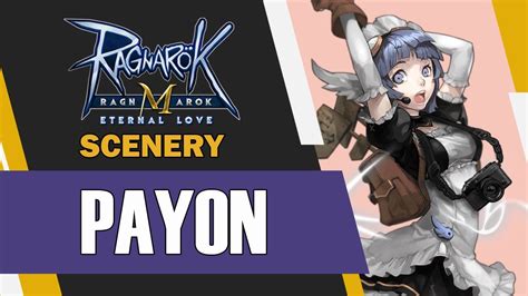Ragnarok M Eternal Love Payon Map Scenery Hidden Scenery Complete Guide YouTube