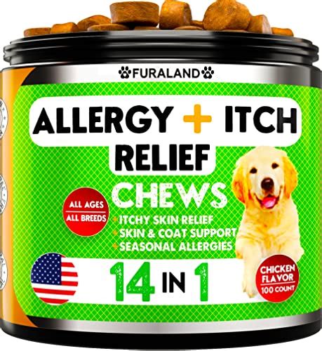 10 Best Probiotic For Dogs With Allergies Expert Reviews In 2022