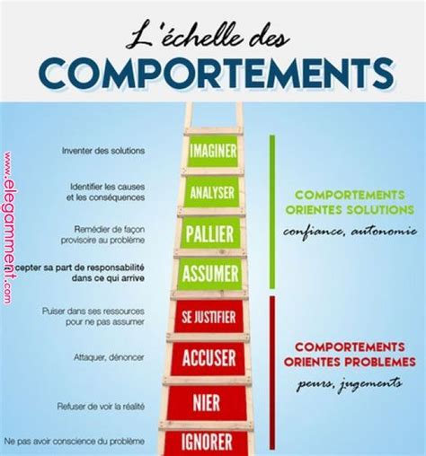 L’échelle des comportements  l’outil pour mieux analyser le