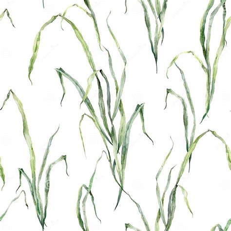 Watercolor Floral Seamless Pattern Of Meadow Grasses Hand Painted