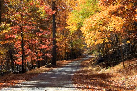 West Virginia State Parks With Lovely Fall Foliage Views