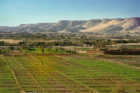 29th sahara expo the future of sustainable agriculture in egypt agora medspring
