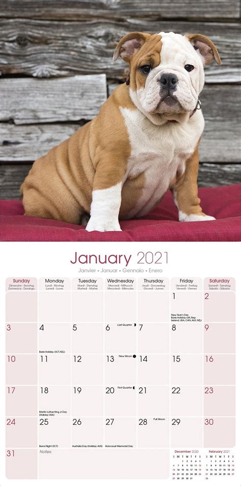 Bulldog Calendar Dog Breed Calendars Pet Prints Inc