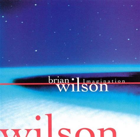 Imagination Brian Wilson Cd Album Muziek