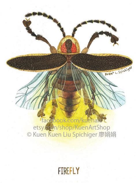 What tattoo style best suits you? Firefly/Lightning Bug, F is for Firefly, Watercolor ...