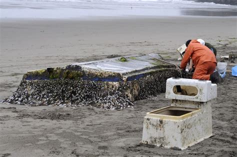 Tsunami Debris Cleanup Requires Federal Help Washington Gov Chris Gregoire Says