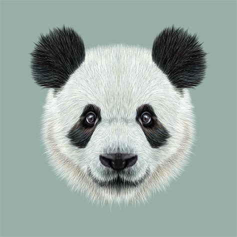 Digital Illustration Of Panda Gallery Corner