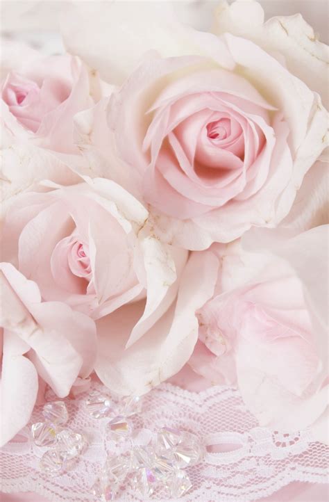 Vintage Rosa Rosen Kostenloses Bild Auf Pixabay