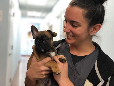 She doesn't have a go to answer for pet health issues, rather she seeks to understand each pet and each human to prescribe the right treatment. Vet in Davidson, NC 28036 | Whole Pet Veterinary Hospital ...