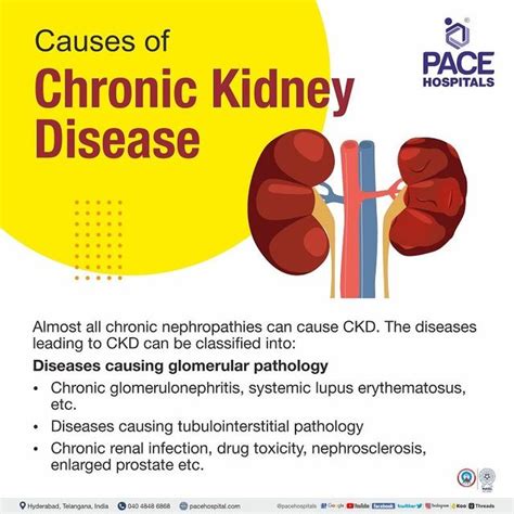 Chronic Kidney Disease Symptoms Stages Causes Risk 41 Off