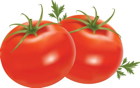Tomatoes With Leaves Png Transparent Image Download Size 3552x2224px