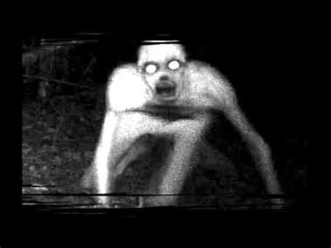 Lead a dissolute, debauched life; "The.Rake" - YouTube