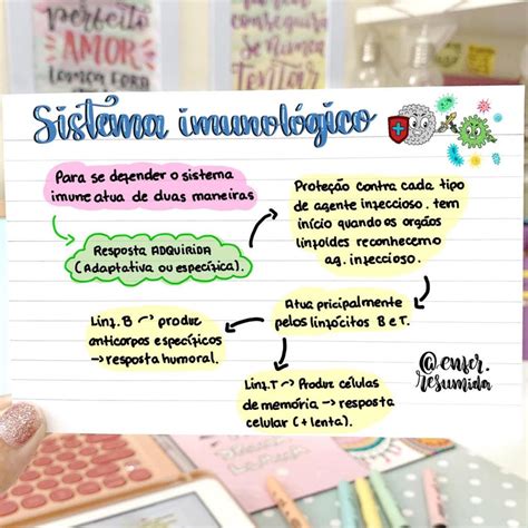 Sistema Imunitário Mapa Mental