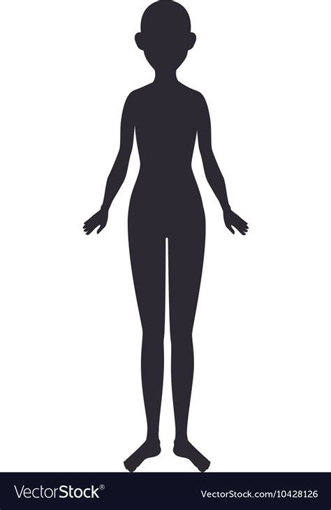 Woman Body Silhouette A Woman Body Silhouette Vector Choose From