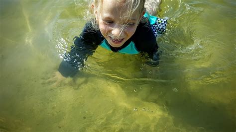 Lake anna state park, spotsylvania, va. Ben's Journal: Lake Anna State Park - Kid Friendly Hiking ...