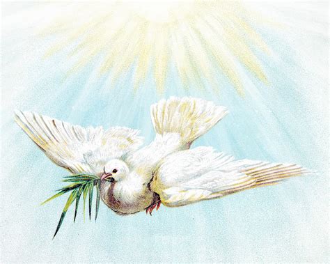 The Catholic Reader Novena To The Holy Spirit For The Seven Ts
