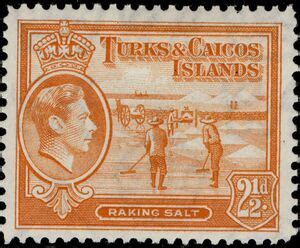 Stamp Raking Salt Turks And Caicos Islands Issues Of Mi Tc