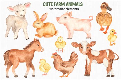 Cute Farm Animals Watercolor Collection Clipart By Marina