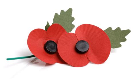 The Royal British Legion S Poppy Appeal 2013 Launches Today The Devon Daily