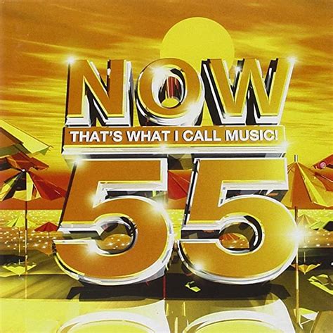 Now Thats What I Call Music Vol 55 Uk Music