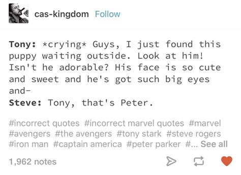 A collection of irondad fics, mostly (but not all) including his spiderson. Spider Son and Iron Dad | Funny marvel memes, Marvel funny ...