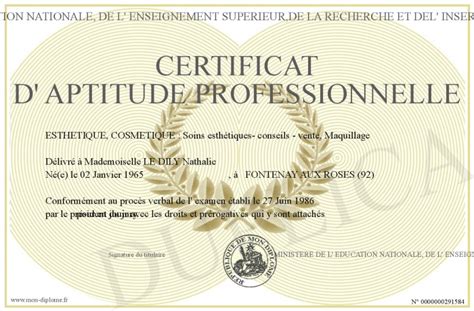 Certificat D Aptitude Professionnelle